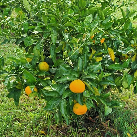 Apartma S&m Prázdninový dům Koper